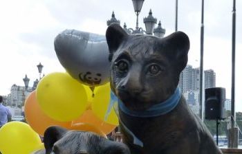 Тигрята. г. Владивосток